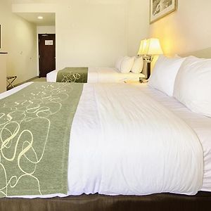 Queen Room Two Queen Beds Non-Smoking